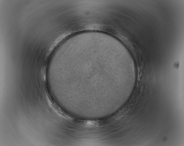 X0000115310060200911301545