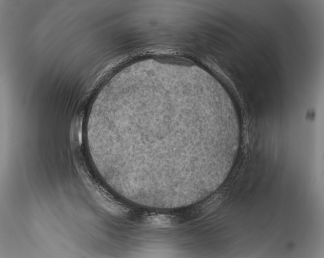 X0000115310062200911301545