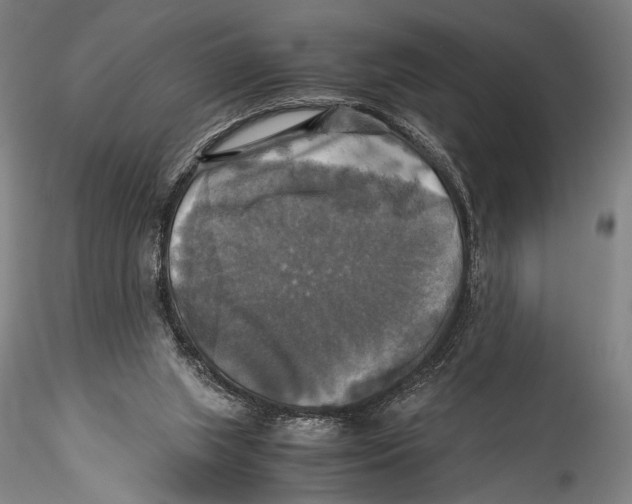 X0000115310063200911301545