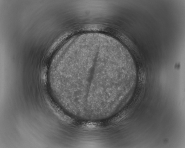 X0000115310064200911301545