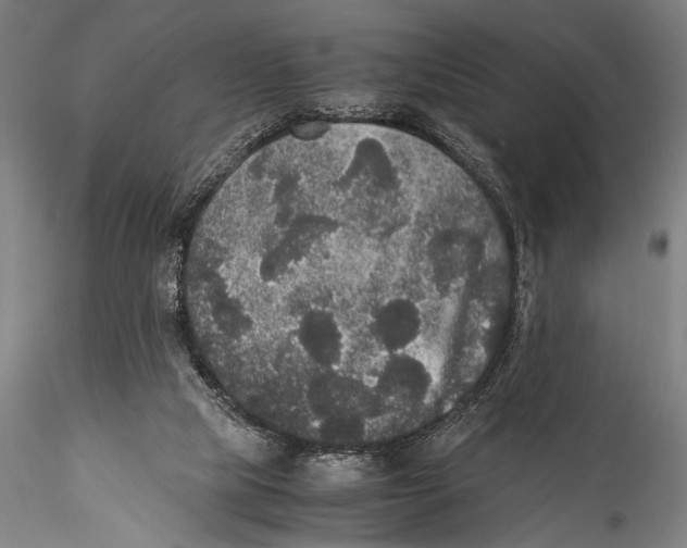 X0000115310065200911301545