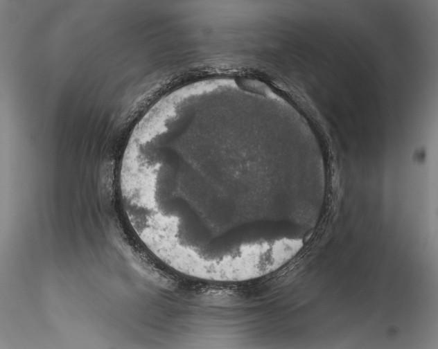 X0000115310066200911301545