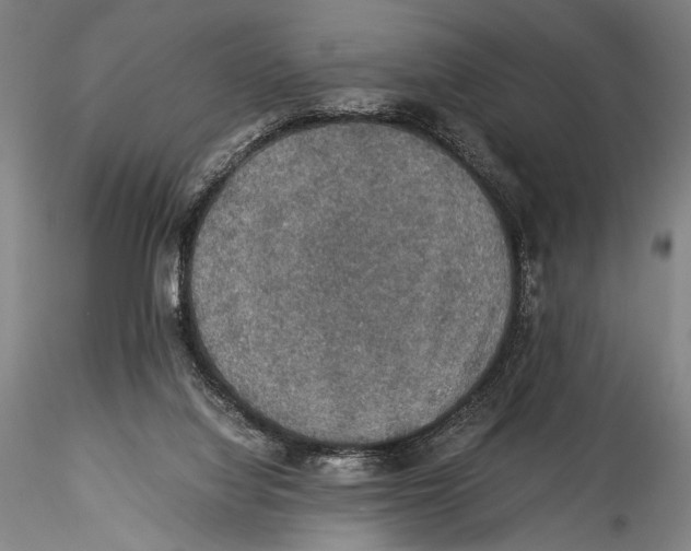 X0000115310068200911301545