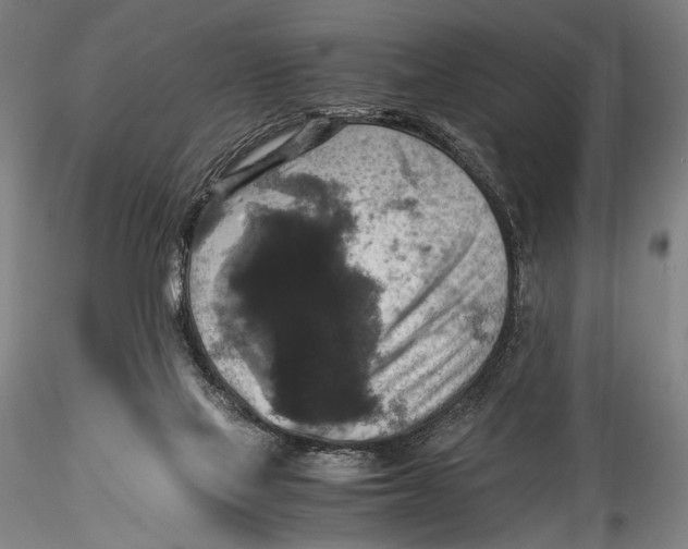 X0000115310069200911301545