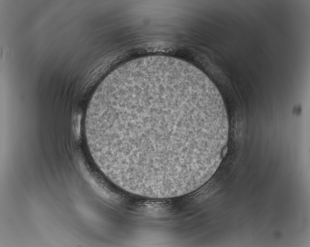 X0000115310070200911301545