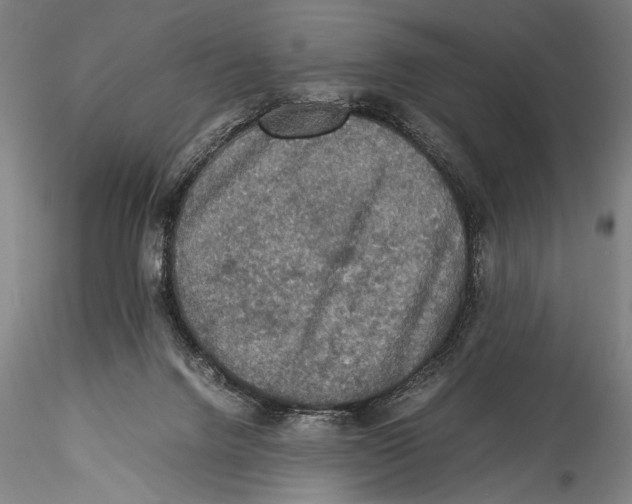 X0000115310072200911301545