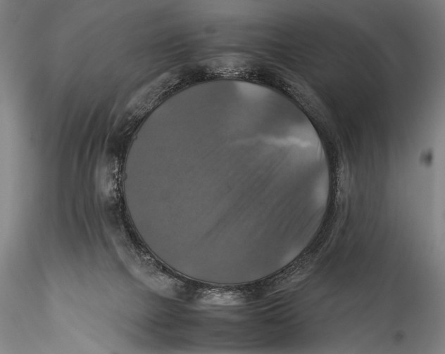 X0000115310073200911301545