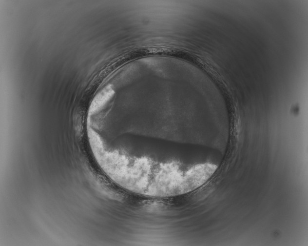 X0000115310074200911301545