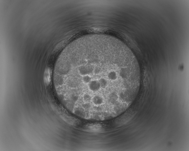 X0000115310075200911301545