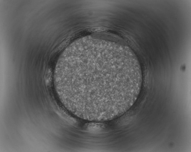 X0000115310077200911301545