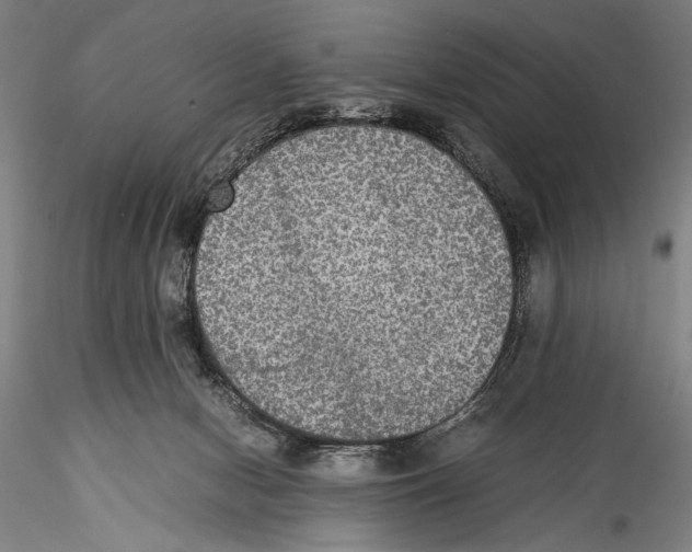 X0000115310078200911301545