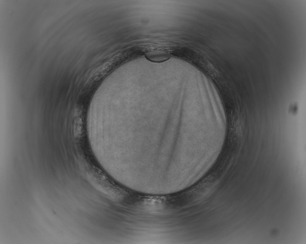 X0000115310080200911301545