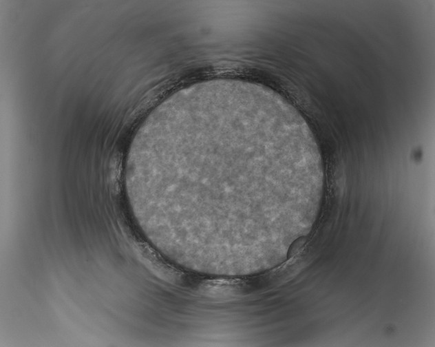 X0000115310082200911301545