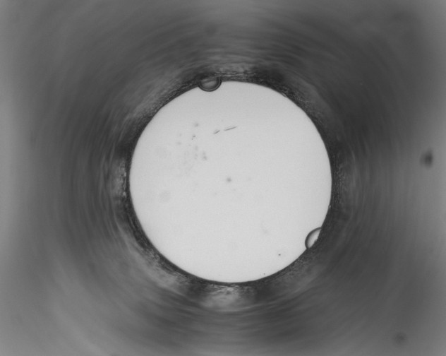 X0000115310083200911301545