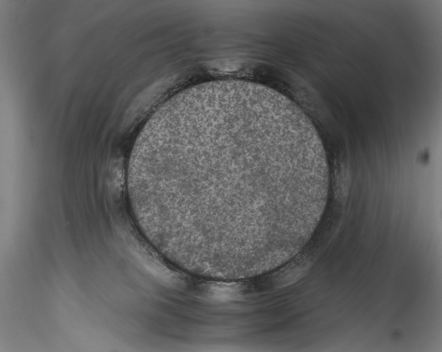 X0000115310085200911301545