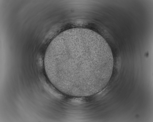 X0000115310086200911301545