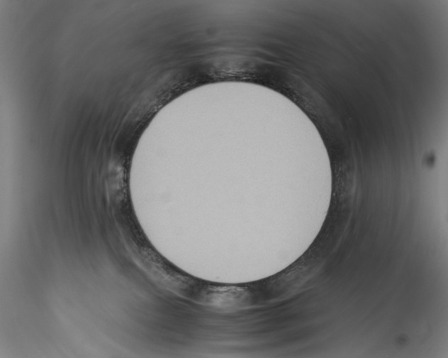 X0000115310087200911301545