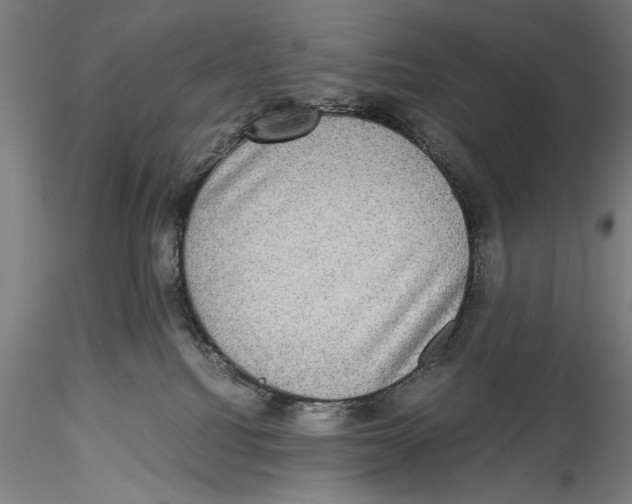 X0000115310088200911301545