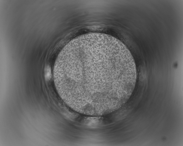 X0000115310089200911301545