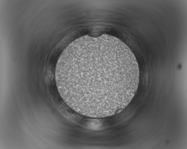 X0000115310091200911301545