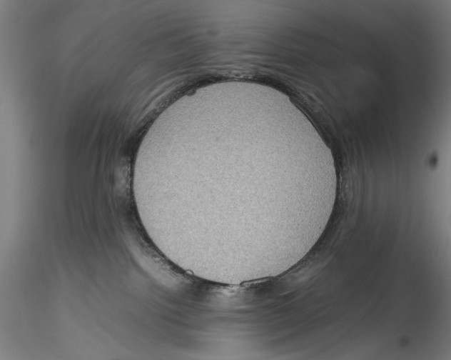 X0000115310092200911301545