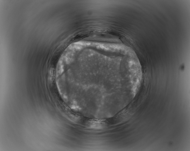 X0000115310093200911301545