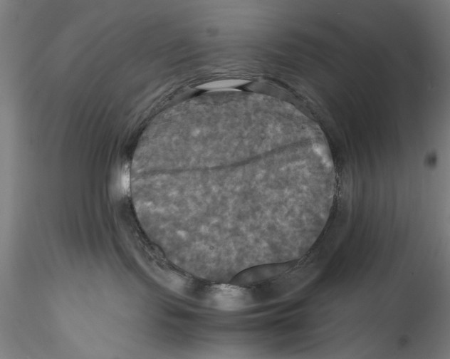 X0000115310095200911301545