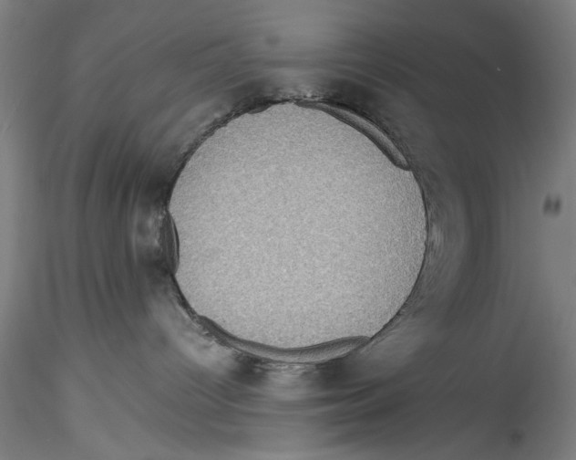 X0000115310096200911301545