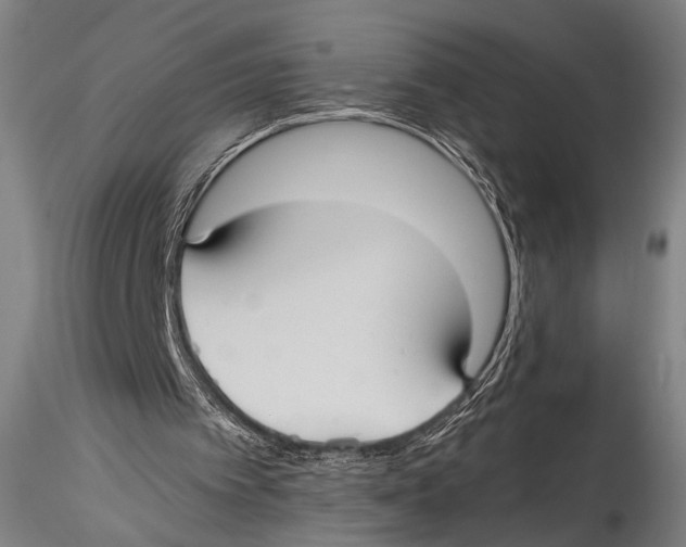 X0000115310097200911301545