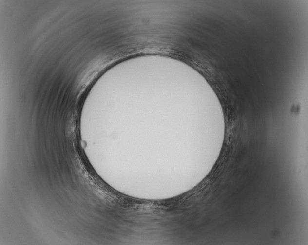 X0000115310098200911301545