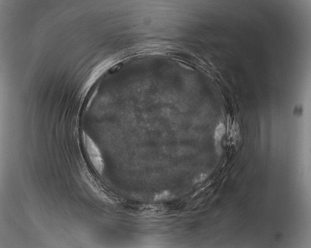 X0000115310099200911301545