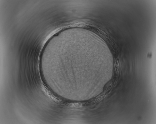 X0000115310100200911301545