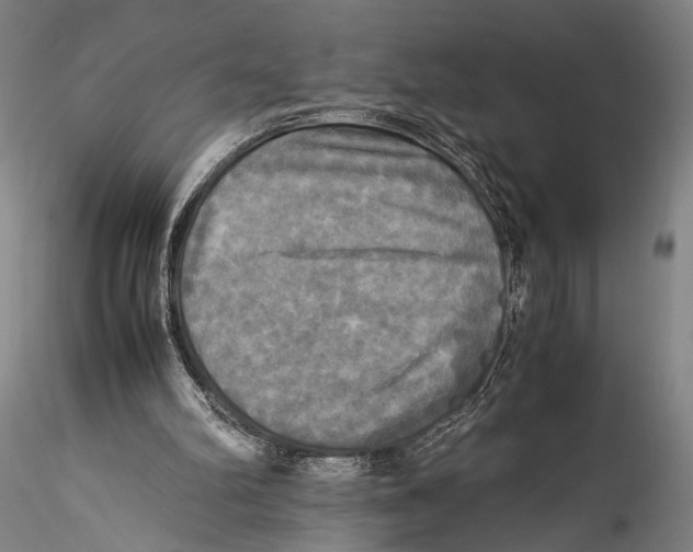 X0000115310102200911301545