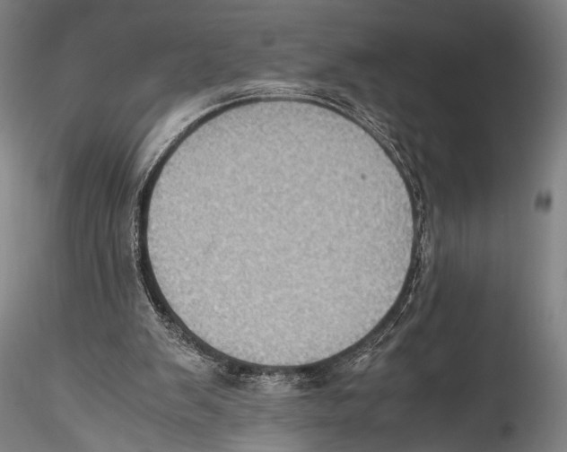 X0000115310103200911301545