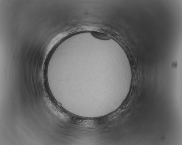 X0000115310104200911301545