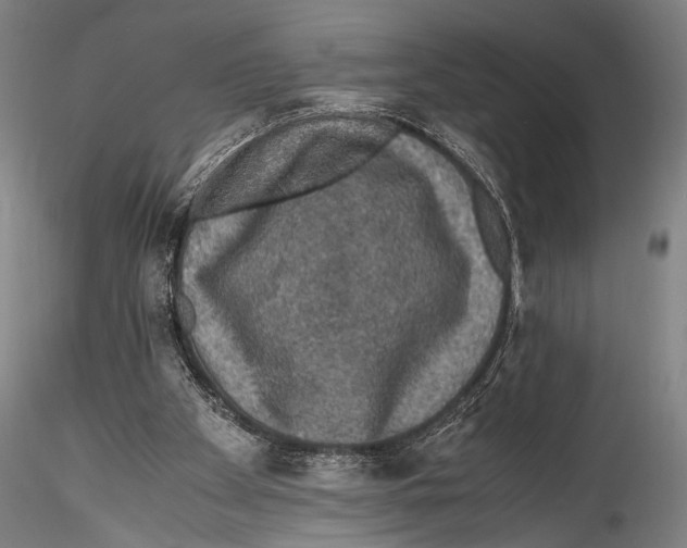 X0000115310105200911301545