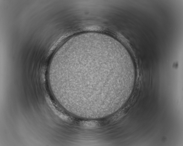 X0000115310106200911301545