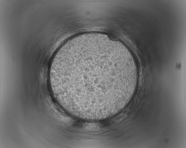 X0000115310107200911301545