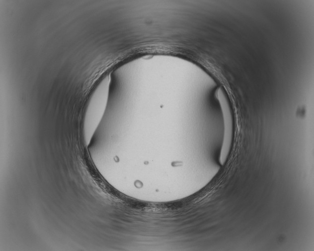 X0000115310109200911301545