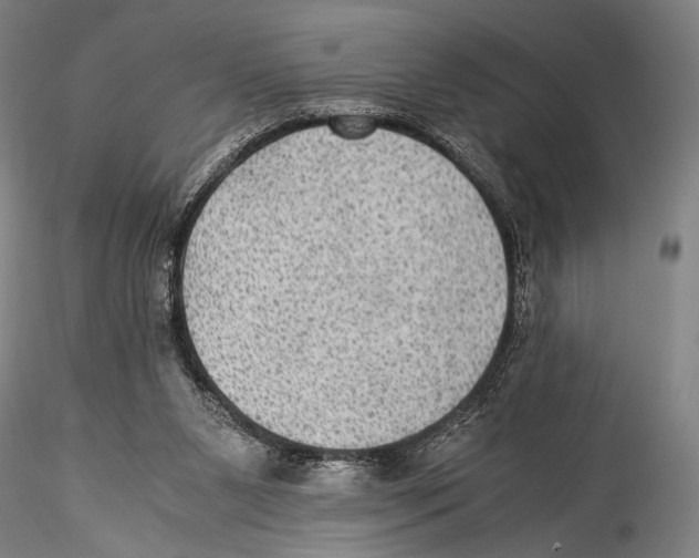 X0000115310111200911301545