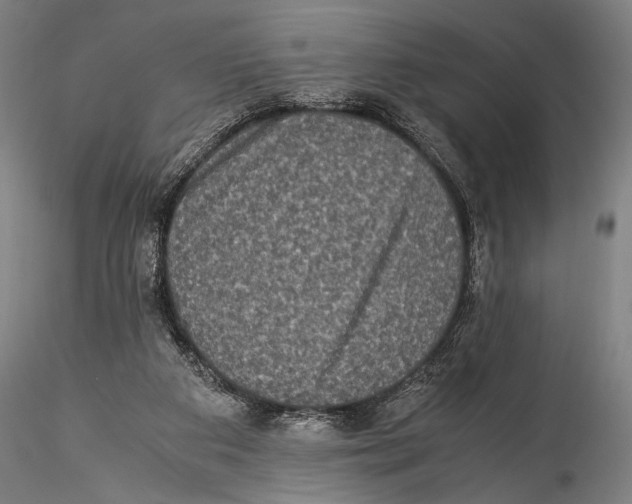 X0000115310113200911301545