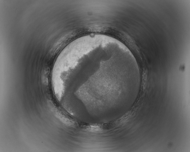 X0000115310114200911301545