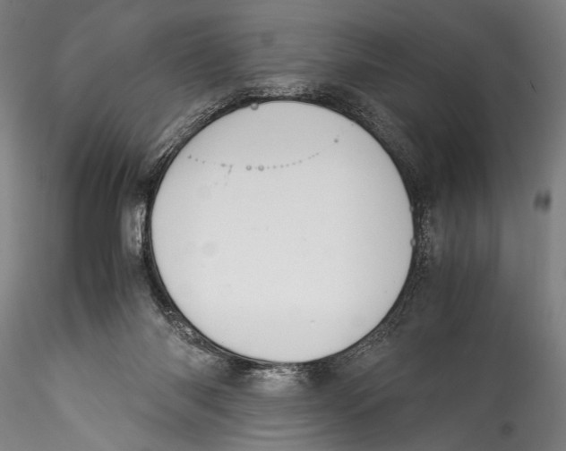 X0000115310118200911301545