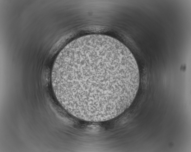 X0000115310119200911301545