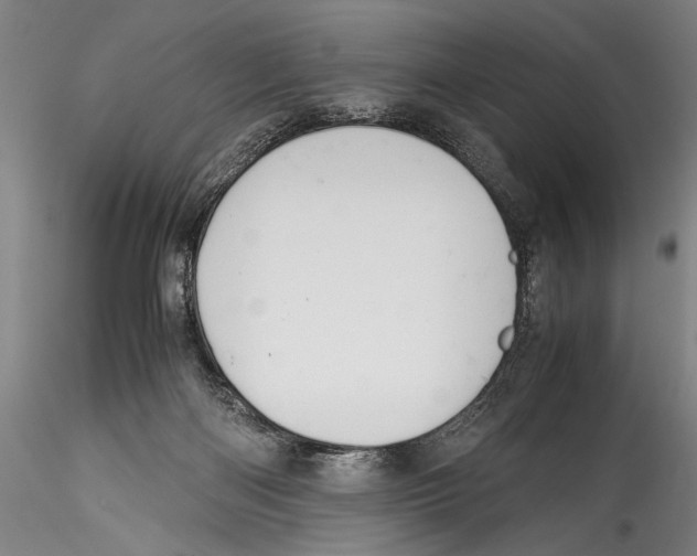 X0000115310122200911301544