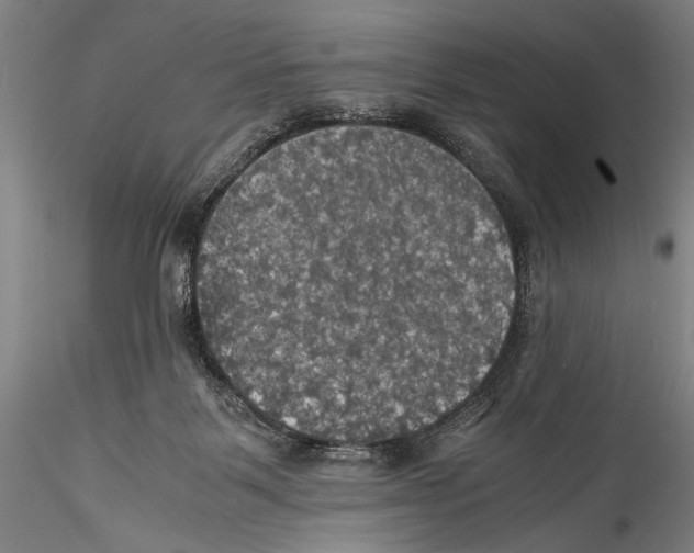 X0000115310123200911301544