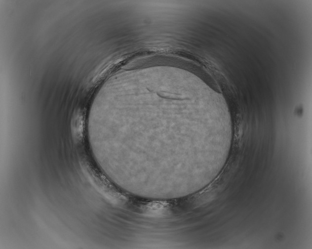 X0000115310124200911301544