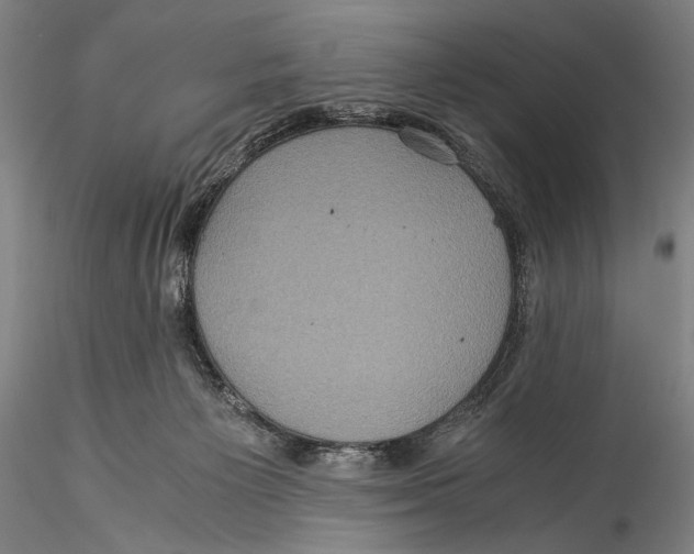 X0000115310125200911301544