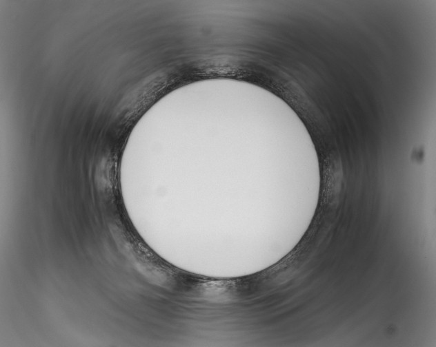 X0000115310126200911301544