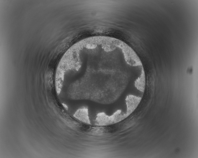 X0000115310127200911301544